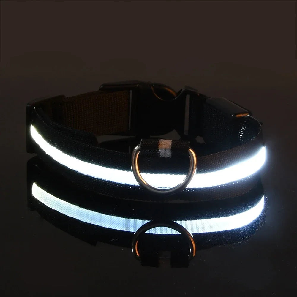 LED Dog Collar – Nylon Glow in the Dark, Flashing Night Safety Collar