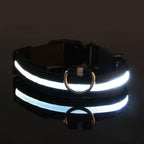 LED Dog Collar – Nylon Glow in the Dark, Flashing Night Safety Collar